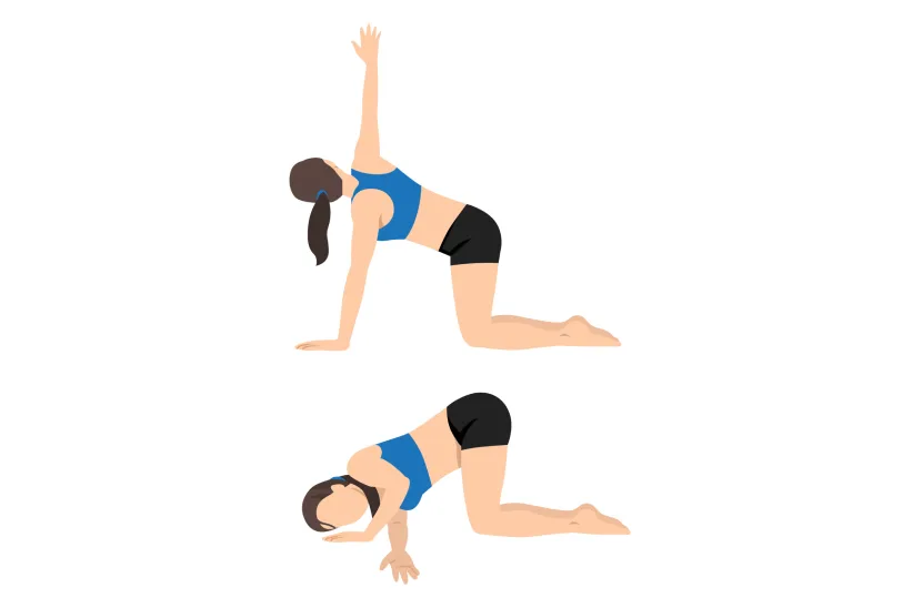 Bài Tập Cổ Vai Gáy Tại Nhà Sau Khi Massage: Bí Quyết Để Hiệu Quả Kéo Dài Cả Ngày bài tập cổ vai gáy tại nhà