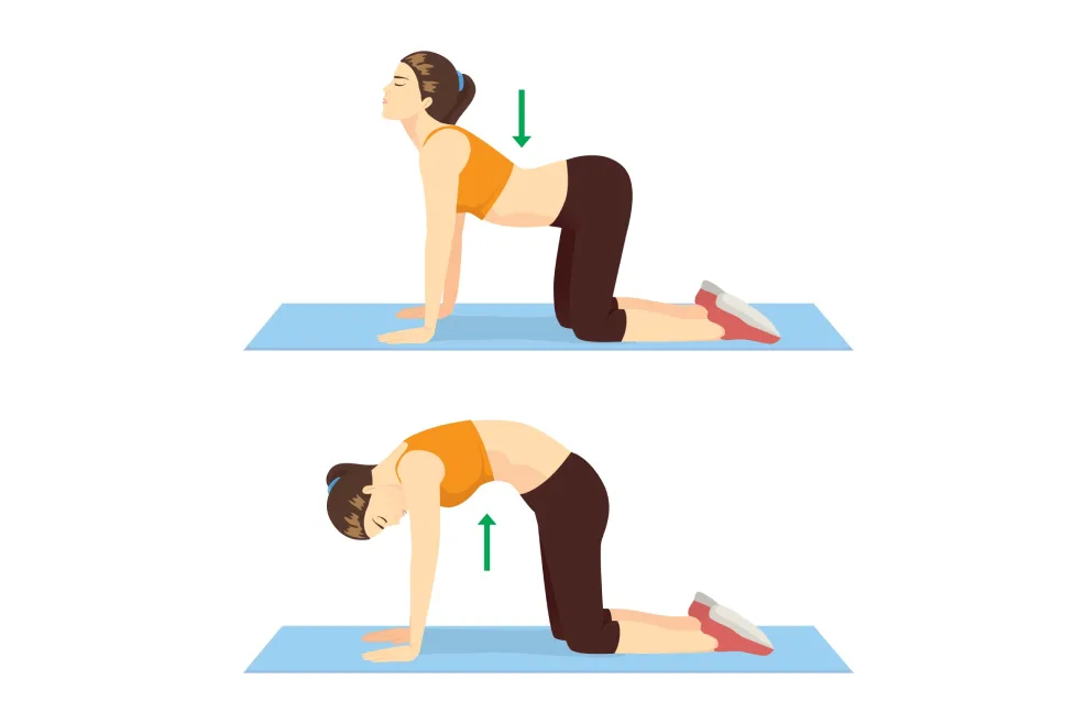 Bài Tập Cổ Vai Gáy Tại Nhà Sau Khi Massage: Bí Quyết Để Hiệu Quả Kéo Dài Cả Ngày bài tập cổ vai gáy tại nhà
