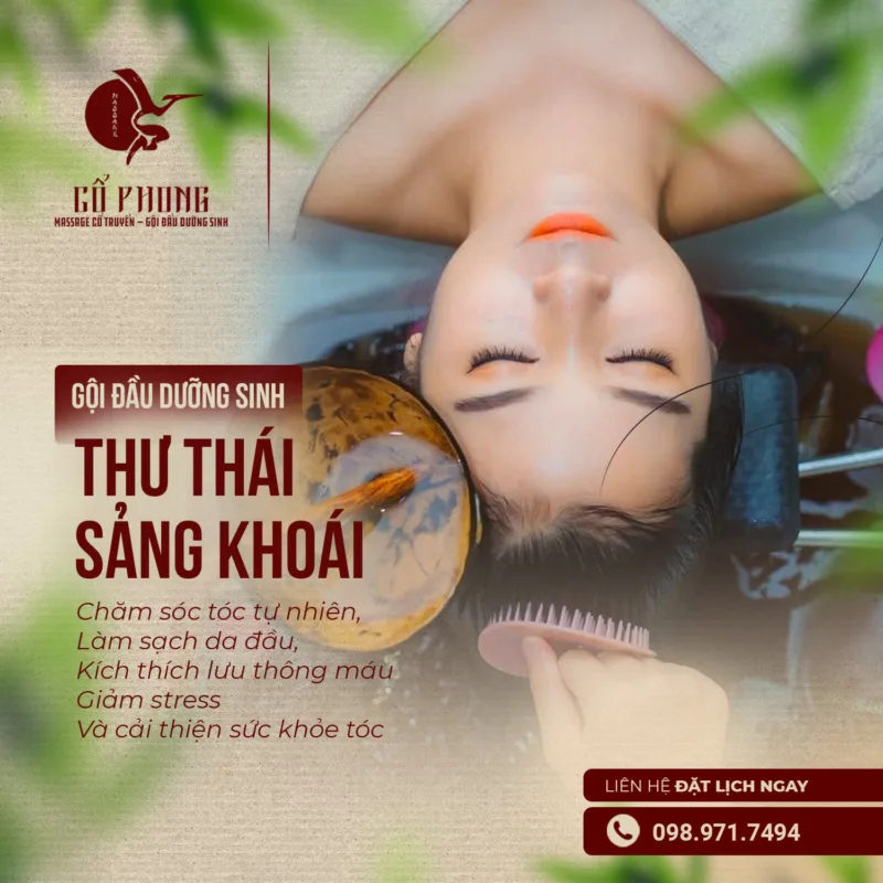 News Gội đầu dưỡng sinh thư thái sảng khoái: chăm sóc tóc tự nhiên, làm sạch da đầu, kích thích lưu thông máu và giảm stress