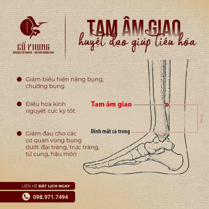 Foot Acupressure: 10 Golden Points and the Secret to Health From Your Feet foot acupressure