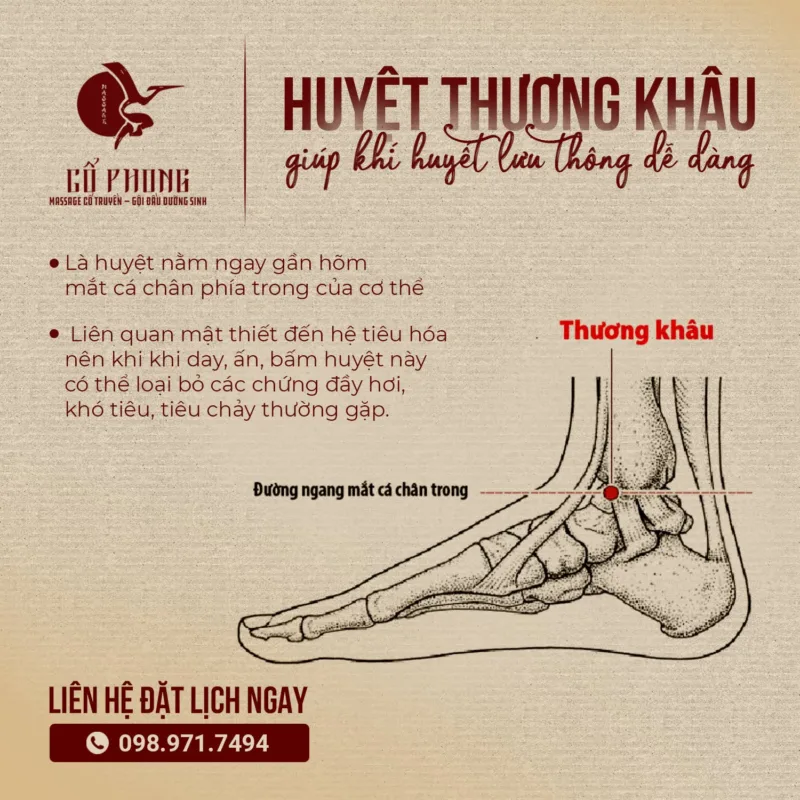Foot Acupressure: 10 Golden Points and the Secret to Health From Your Feet foot acupressure